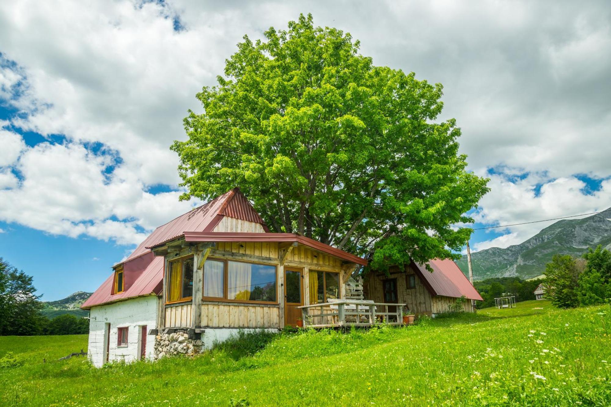 Maple Village Жабляк Екстер'єр фото
